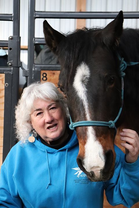 rescue horse with Deborah
