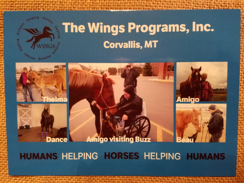 Wings Program helping horses in Corvallis Mt
